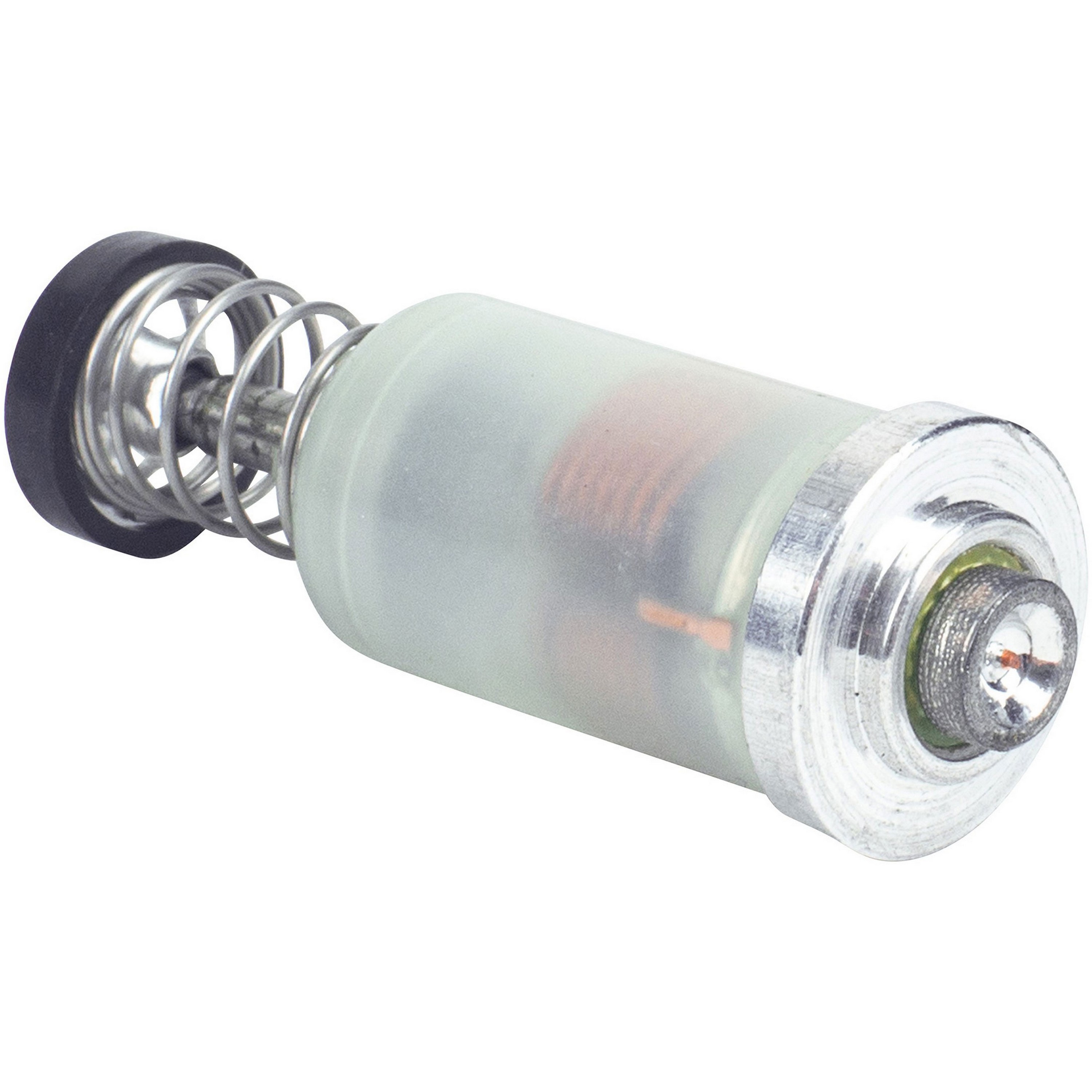 DWS Magneetklepje groot 