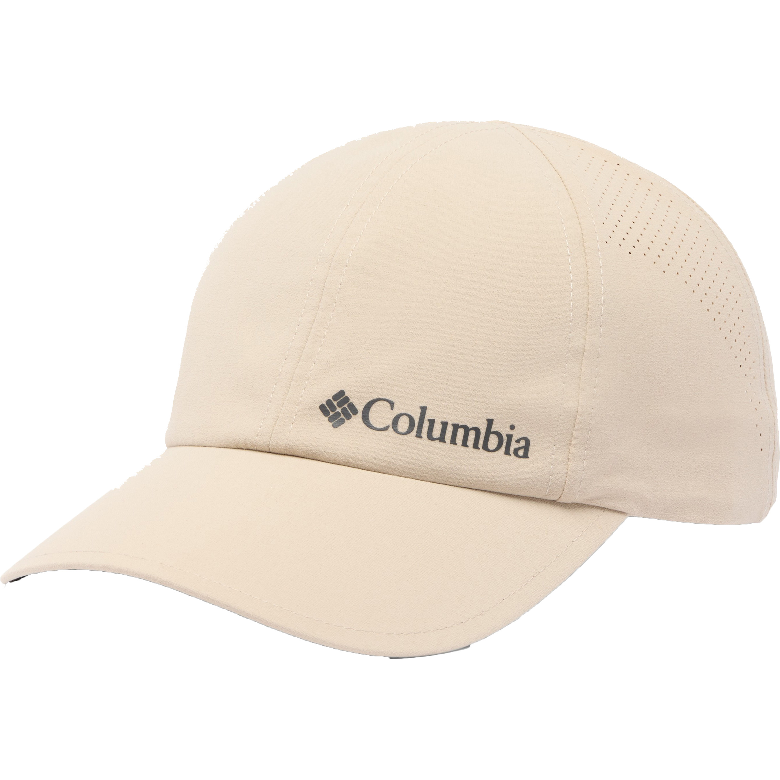 Columbia Silver Ridge IV pet ancient fossil 