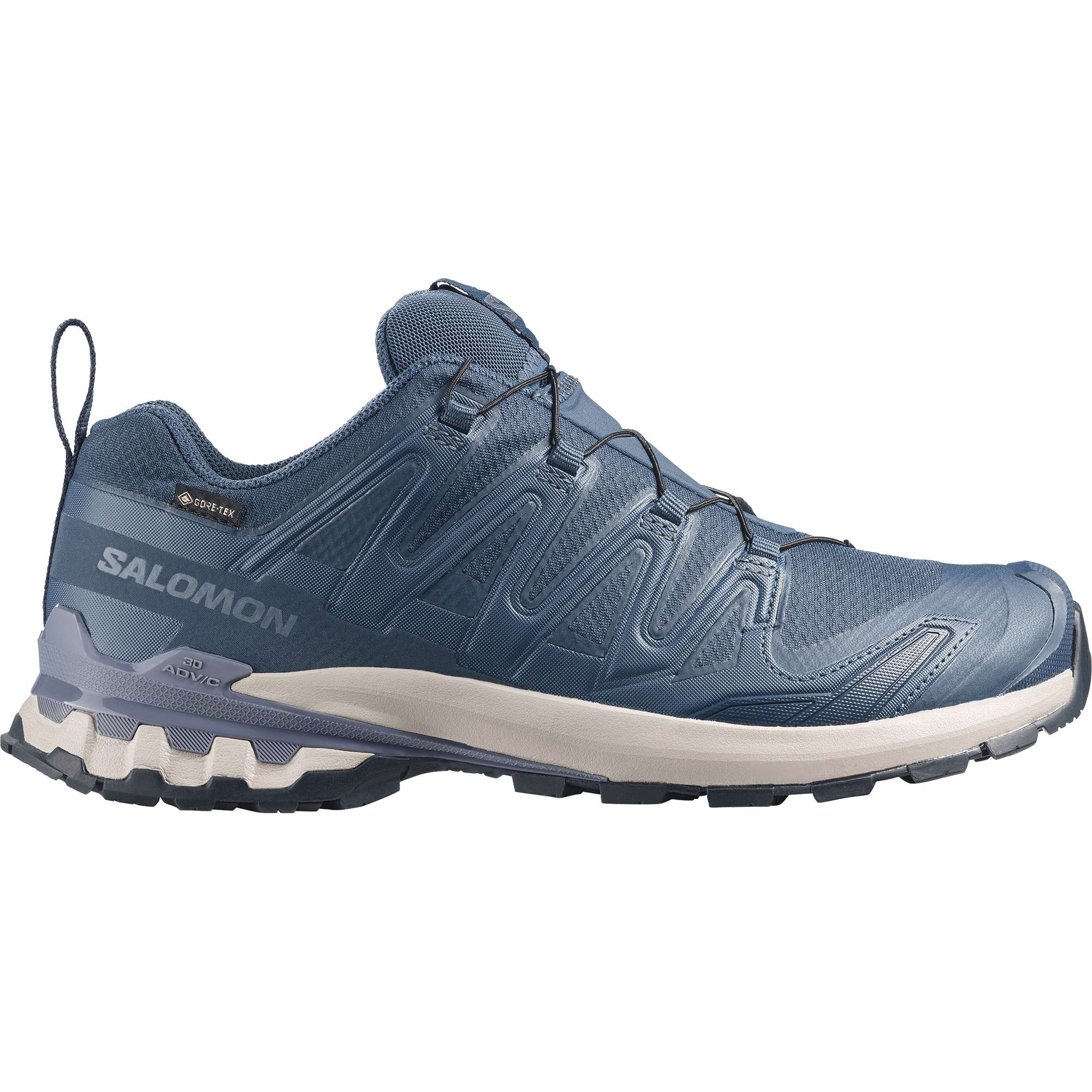 Salomon XA PRO 3D V9 GORE-TEX hardloopschoenen heren spellbound grisaille