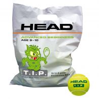 Head TIP grootverpakking tennisballen green 
