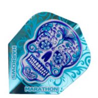Harrows Darts Darts Marathon Rio skull flights 