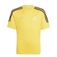 Adidas Salah voetbalshirt junior gold yellow 
