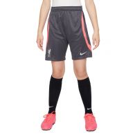 Nike Liverpool FC Dri-FIT Strike voetbalbroekje junior gridiron hot punch white