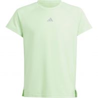 Adidas Workout shirt junior semi green spark reflective silver